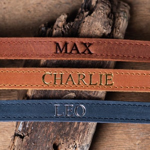 May include: Three leather dog collars with gold and black lettering. The collars are brown and navy blue. The names on the collars are Max, Charlie, and Leo.