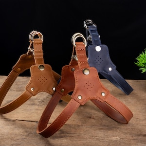 Personalized Leather Dog Harness with Holder for Airtag, Customized Dog Harness with Pocket Holder for Tracker image 4