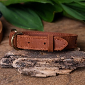 May include: A brown leather dog collar with a brass buckle. The collar is on a piece of driftwood.