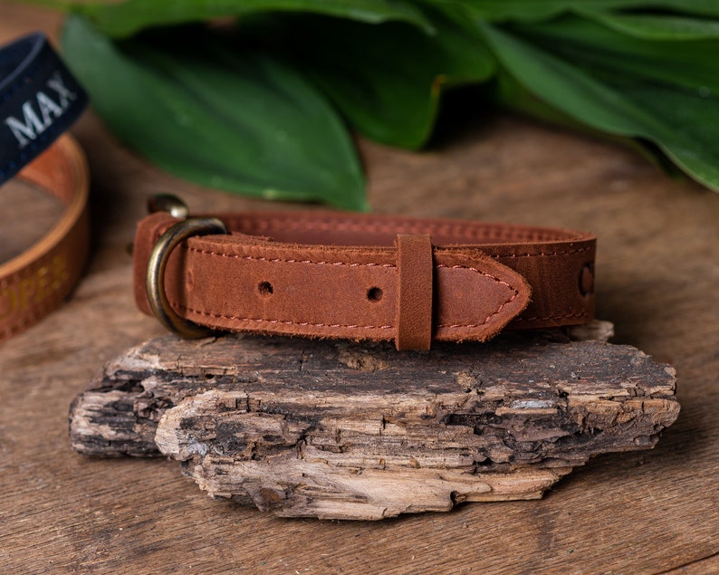May include: A brown leather dog collar with a brass buckle. The collar is on a piece of driftwood.