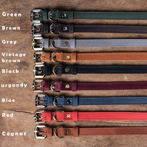 May include: Nine leather dog collars in a variety of colours, including green, brown, grey, vintage brown, black, burgundy, blue, red, and cognac. Each collar features a silver buckle and a stitched design.