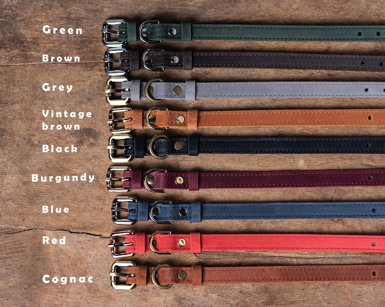 May include: Nine leather dog collars in a variety of colours, including green, brown, grey, vintage brown, black, burgundy, blue, red, and cognac. Each collar features a silver buckle and a stitched design.