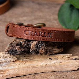 May include: A brown leather dog collar with the name "CHARLIE" embossed in gold lettering.