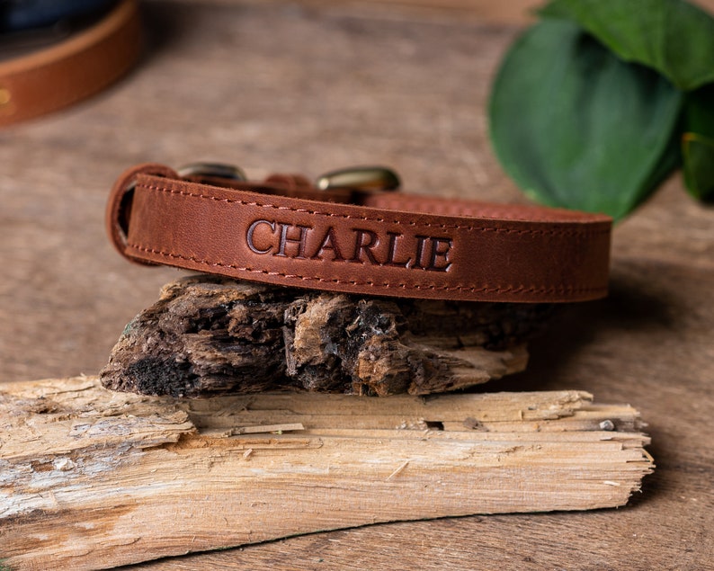 May include: A brown leather dog collar with the name "CHARLIE" embossed in gold lettering.