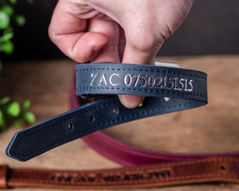 Personalized Leather Dog Collar, Personalized Dog Collar, Genuine Leather Dog Collar, Engraved Leather Dog Collar, Customized Dog Collar image 9