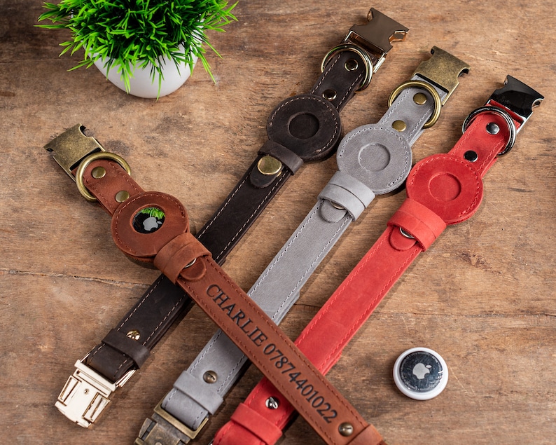 May include: A collection of leather dog collars in brown, gray, and red, each featuring a circular holder for a tracking device. The collars have metal buckles and hardware. One collar is engraved with the name "CHARLIE" and a phone number.
