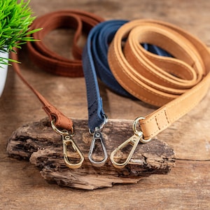 Op de afbeelding: Drie leren hondenriemen in bruin, beige en blauw met gouden metalen gespen. De riemen zijn opgerold en gerangschikt op een stuk drijfhout.