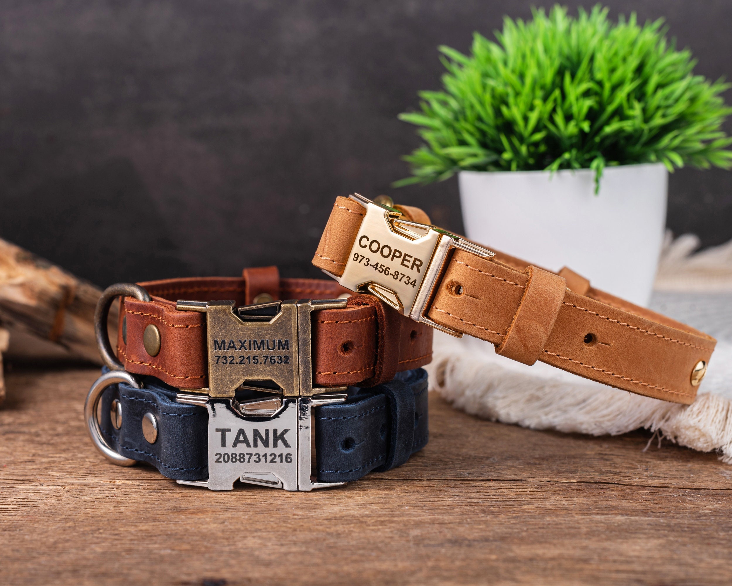 Personalized Leather Dog Collar, Personalized Dog Collar, Genuine ...