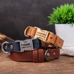 Leather Collars