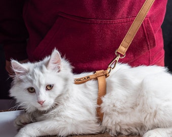 Gepersonaliseerde lederen kattenharnas, verstelbaar kattenharnas en riem, kittenharnas, aangepast kattenharnas, reiskatharnas