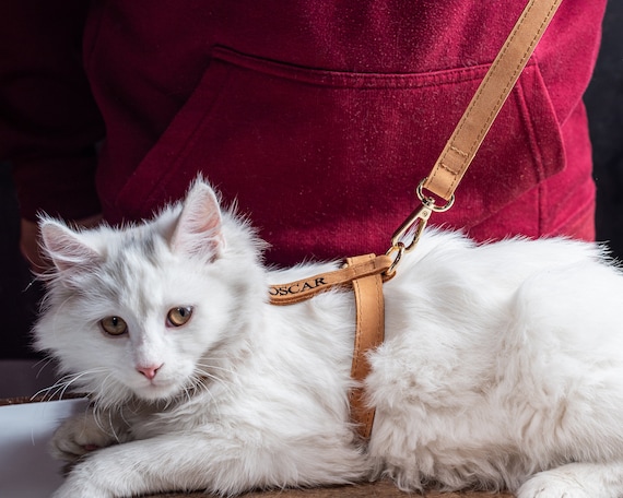 Personalized Leather Cat Harness, Adjustable Cat Harness and Leash, Kitten Harness, Customized Cat Harness, Travel Cat Harness