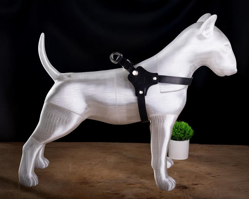 May include: A white dog statue with a black leather harness. The dog is standing on a wooden surface with a small green plant in a white pot in the background. The harness has a metal ring.