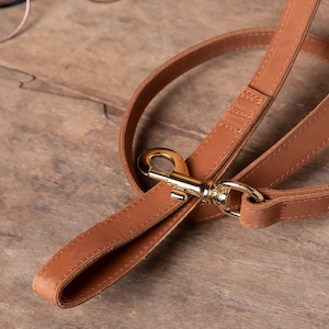 May include: A brown leather dog leash with a gold metal clasp. The leash is folded in half and the clasp is visible.