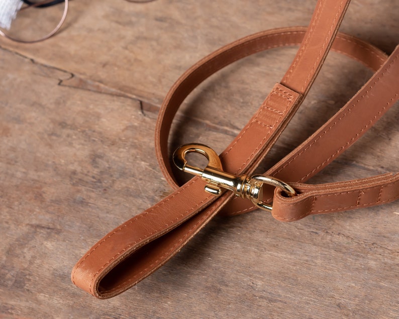 May include: A brown leather dog leash with a gold metal clasp. The leash is folded in half and the clasp is visible.