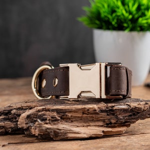 May include: A brown leather dog collar with a gold-colored buckle and D-ring. The collar is displayed on a piece of driftwood, with a white pot of greenery in the background. The collar is made of a thick, durable leather.