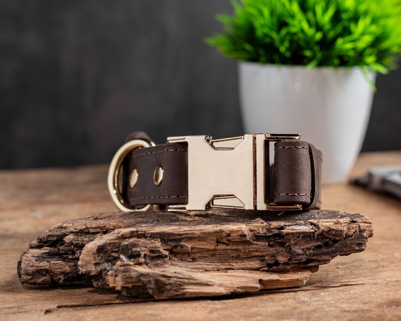 May include: A brown leather dog collar with a gold-colored buckle and D-ring. The collar is displayed on a piece of driftwood, with a white pot of greenery in the background. The collar is made of a thick, durable leather.