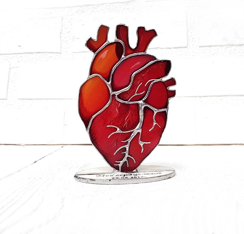 Stained Glass Anatomical Heart Medical Anatomy Art One Year | Etsy