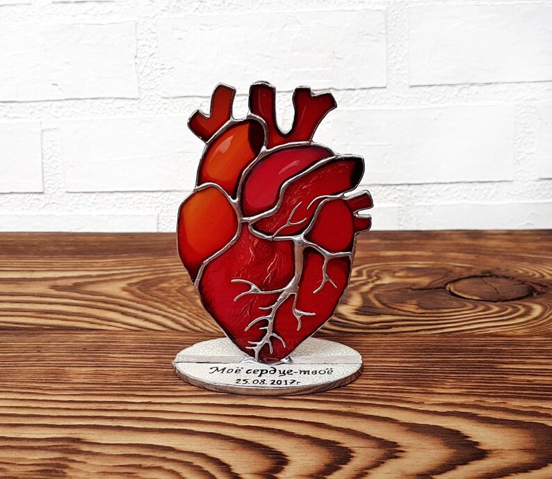 Stained glass Anatomical Heart Medical anatomy art One year | Etsy