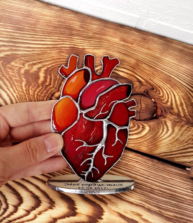 Stained Glass Anatomical Heart Medical Anatomy Art One Year | Etsy