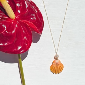 May include: A delicate gold-tone chain necklace featuring a single small white pearl bead and a natural orange scallop shell pendant. The necklace is positioned next to a vibrant red anthurium flower with a yellow spadix, showcasing the jewelry.