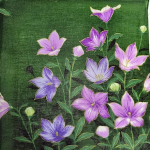Vintage Japanese Handkerchief – Bellflower Garden Furoshiki Gift for Her 21 x 20 inches I Free Shipping 35USD+ (Auto in Cart)