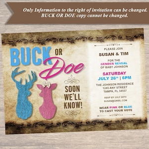 BAB-08-INV-Gender Reveal Einladung Buck oder Doe Download