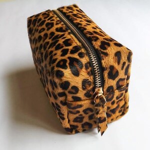 May include: A small, rectangular leopard print makeup bag with a gold zipper.