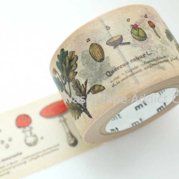 Plant washi tape, Picture book wide washi tape