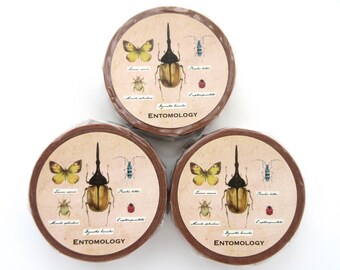 Insect washi tape, Encyclopedia tape, Japanese stationery