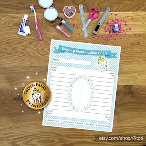 Baby tandjes identificatie grafiek, afdrukbare tandjes grafiek, tandenfee, tand recoeds, tand tracker voor babyjongen, Instant download