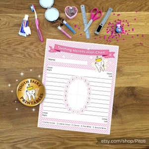 Baby tandjes identificatie grafiek, afdrukbare tandjes grafiek, Tandenfee, tandrecords, tand tracker voor babymeisje, Instant download