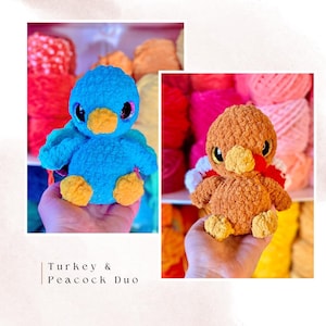 Feathered Friends Mini Pack, Turkey and Peacock PDF