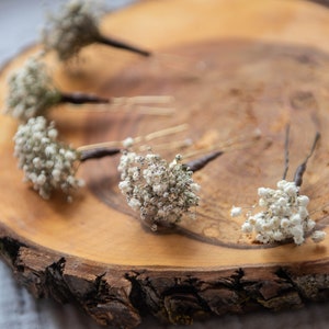 Real  Dried flower Babys breath Gypsophila hair piece accessory Rustic floral headpiece Bridal hair piece Boho Boutonniere Buttonhole