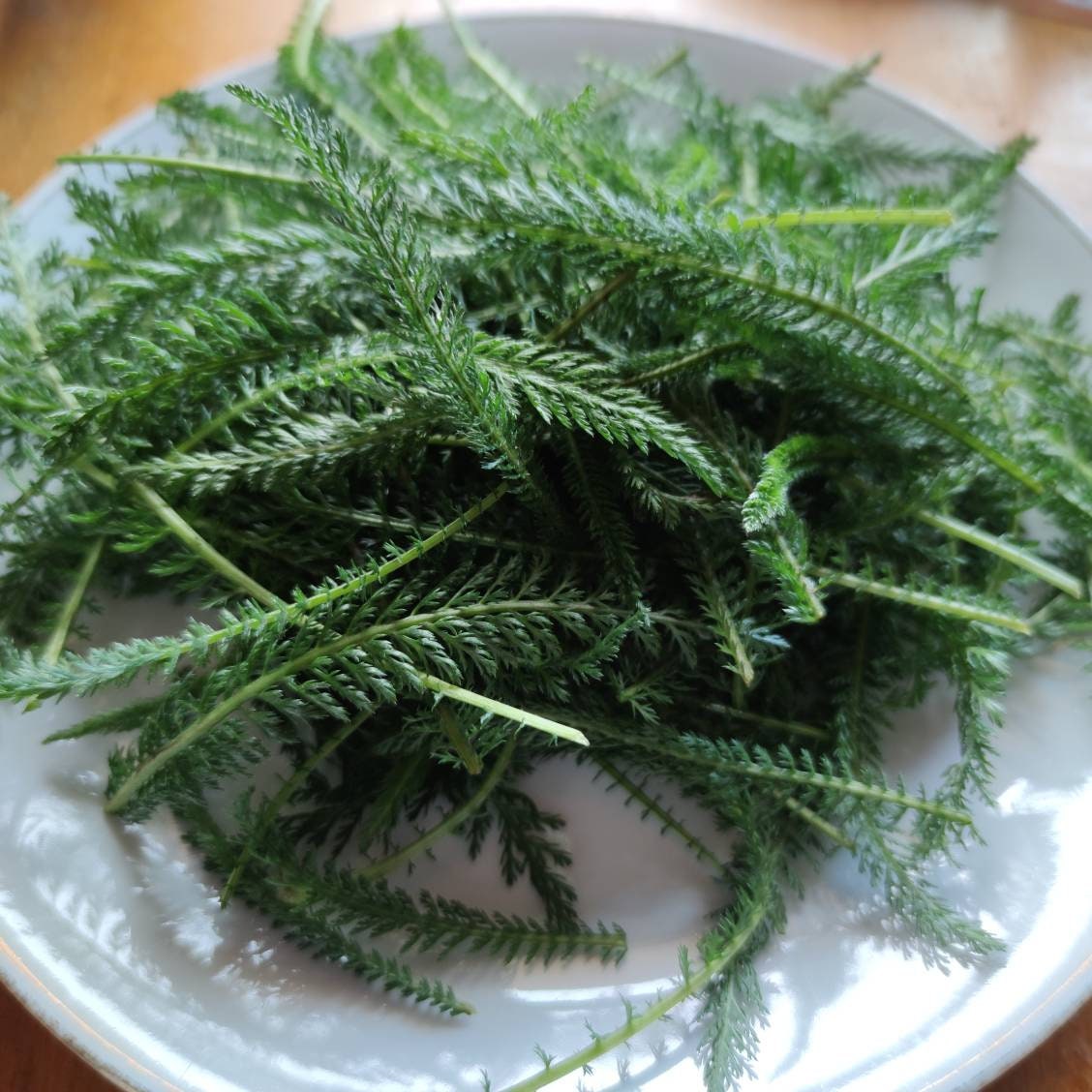 Organic yarrow tea whole leaf dry dried.  Herb for tea, wound healing