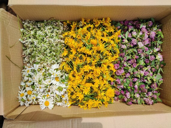 Vib Bunny Bag Organic Dry Flowers Dandelions Daisies Etsy