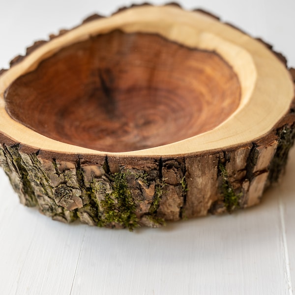 raw handmade log wood bowl with bark/ platter natural decor handcrafted from raw willow log