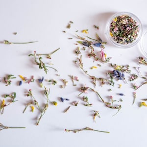 Tiniest dried flowers, buds, petals, veronica flowers, heather
