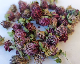 Organic clover dry dried flower for tea