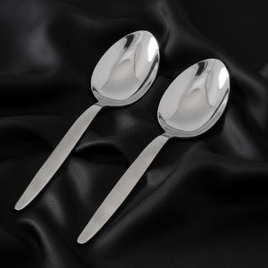 Kunz Chef Sauce Spoon 2-Pack | 18/10 Stainless Steel Plating Spoons