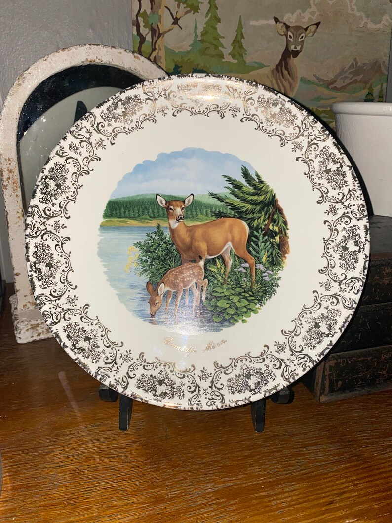Vintage Collectible Keepsake Tourist Bemidji Minnesota Plate souvenir