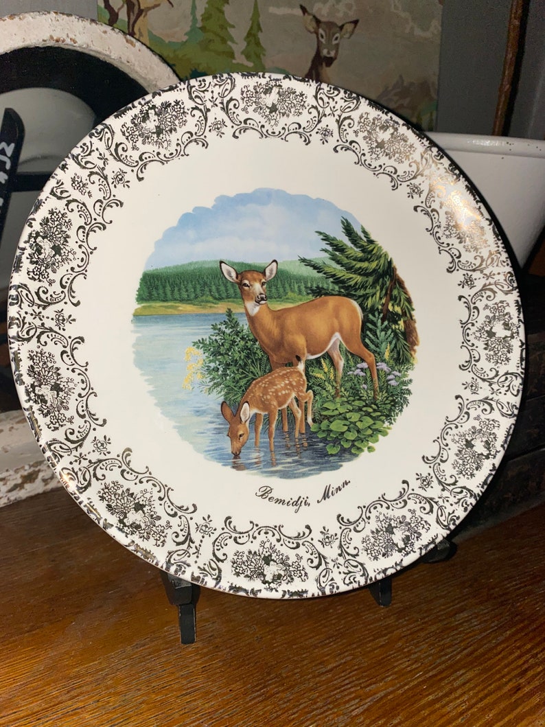 Vintage Collectible Keepsake Tourist Bemidji Minnesota Plate souvenir