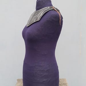 May include: A silver-colored metal collar with a leather strap, displayed on a purple fabric mannequin.