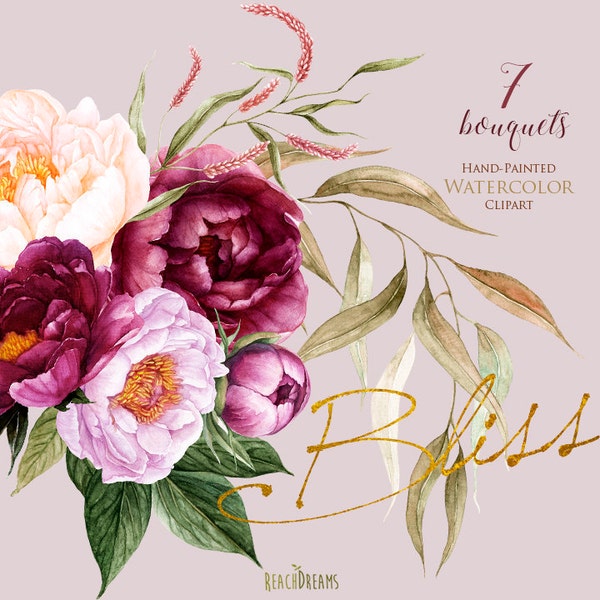 Peonies Flowers Watercolor, Floral elements, Burgundy, Violet, Peach, Botanical, Boho Bouquets, Hand Painted Wedding Clipart, Digital  png