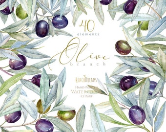 Éléments d’olive, clipart aquarelle, verdure, feuillage, feuille, branche d’olivier, invitations rustiques, invitations de mariage, nuptiale, olives, laurier