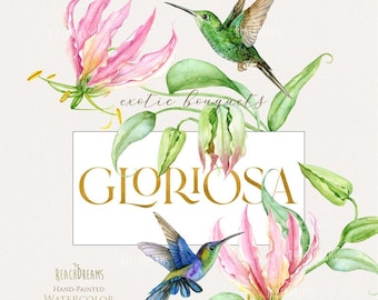 Hummingbirds, Gloriosa, exotic birds, tropical flowers, hummingbird png, green leaves, watercolor clipart, wild bird, invitations, garden