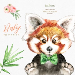 Aquarel Rode Panda. Kleine dieren clipart, bamboe, baby's portret, bos, bos, bloemen, groen, kinderen, kinderkunst, baby shower