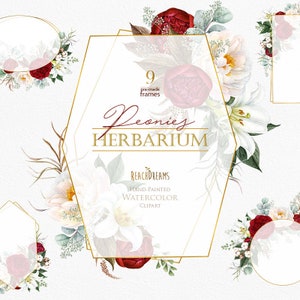 Pivoines Fleurs Aquarelle, Lys, Cadres floraux, Eucalyptus, Bourgogne, Blanc, Mariage, Mariée, Bohème, Rustique, Boho clipart, Peint à la main