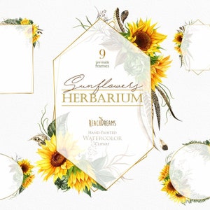 Cadres aquarelle de tournesols, feuilles, clipart pré-fait, floral, or, géométrie, herbier, herbes sauvages, mariage, invitations de modèles de mariée