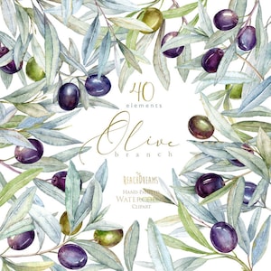 Olive elements, watercolour clipart, greenery, foliage, leaf, olive branch, rustic invites, wedding Invitations, bridal, olives, laurel