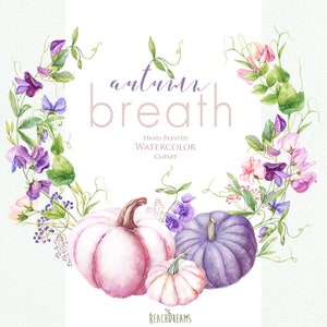 Piselli dolci e zucche. Corone. Clipart floreale ad acquerello, fiori di pisello, fiori d'autunno, rosa, viola, viola, blu, dipinto a mano, PNG fai da te